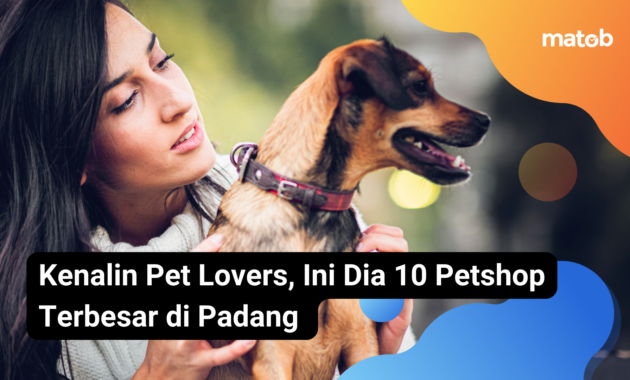 5.1 Matob Bisnis Kenalin Pet Lovers, Ini Dia 10 Petshop Terbesar di Padang