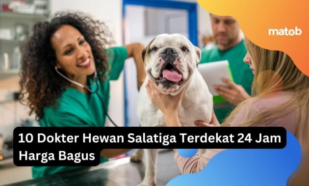10 Dokter Hewan di Salatiga Terdekat 24 Jam Harga Bagus 12 10 Dokter Hewan di Salatiga Terdekat 24 Jam Harga Bagus