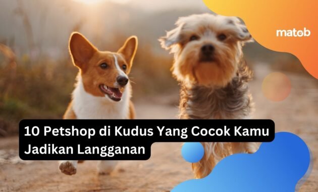 10 Petshop di Kudus Yang Cocok Kamu Jadikan Langganan 14 10 Petshop di Kudus Yang Cocok Kamu Jadikan Langganan