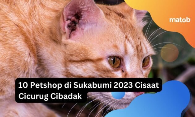 10 Petshop di Sukabumi 2023 Cisaat Cicurug Cibadak 1 10 Petshop di Sukabumi 2023 Cisaat Cicurug Cibadak