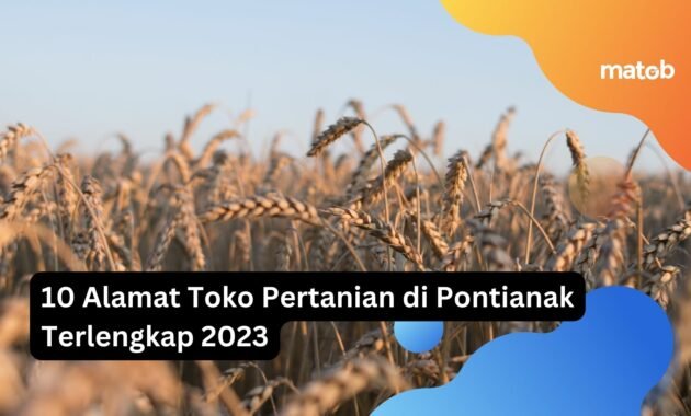 10 Alamat Toko Pertanian di Pontianak Terlengkap 2023 15 10 Alamat Toko Pertanian di Pontianak Terlengkap 2023