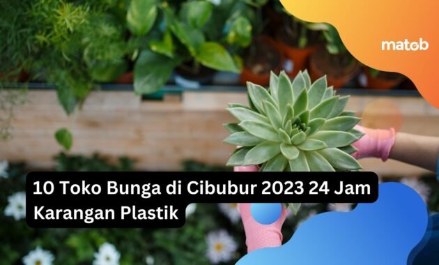 10 Toko Bunga di Cibubur 2023 24 Jam Karangan Plastik 21 10 Toko Bunga di Cibubur 2023 24 Jam Karangan Plastik
