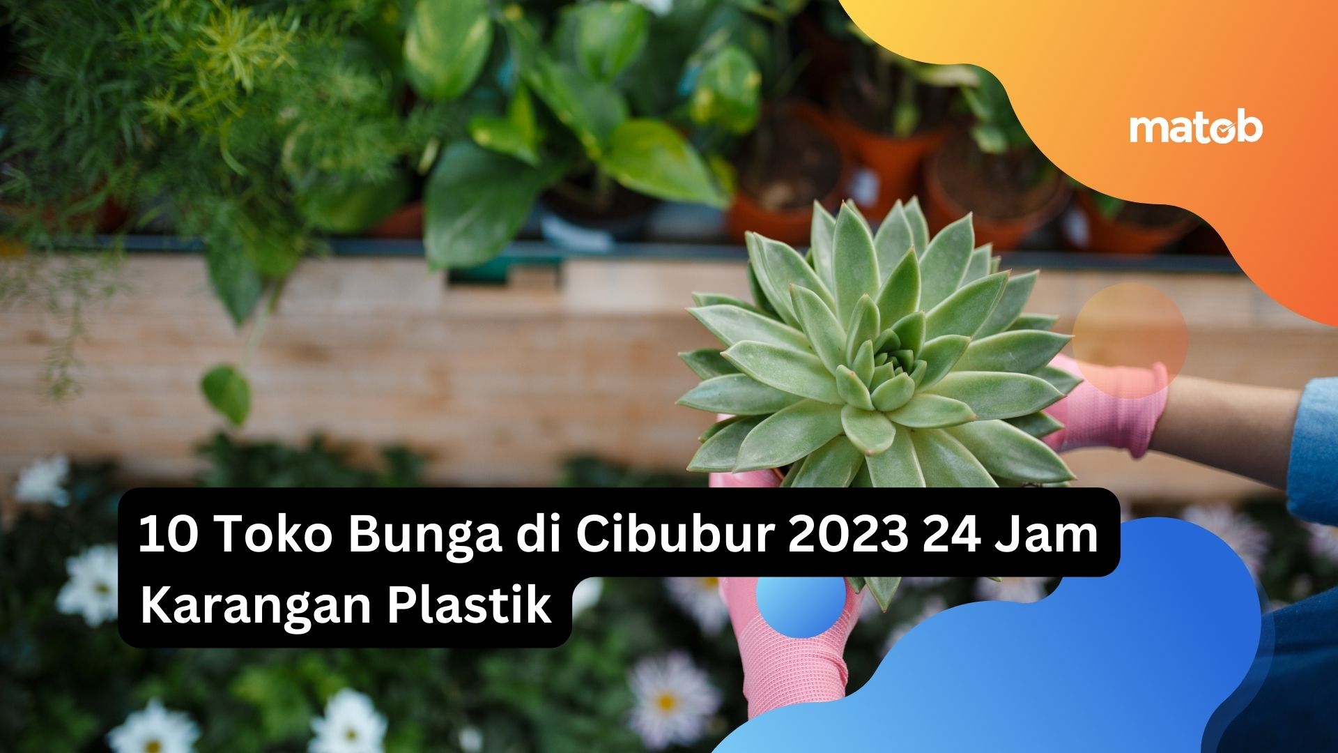 10 Toko Bunga di Cibubur 2023 24 Jam Karangan Plastik