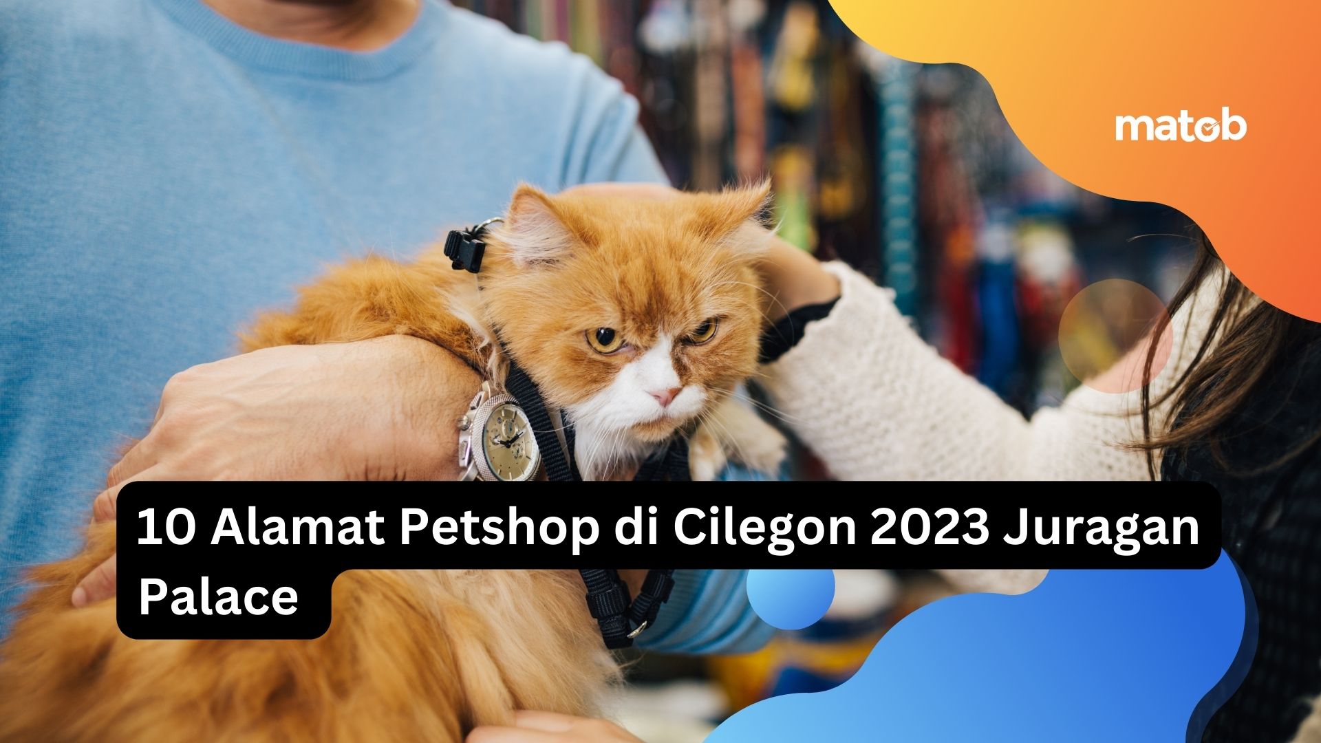 10 Alamat Petshop di Cilegon 2023 Juragan Palace