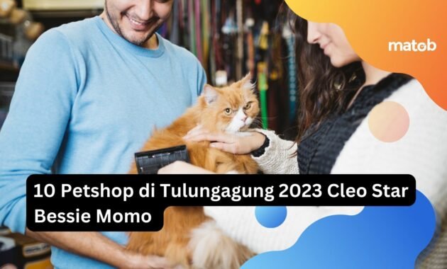 10 Petshop di Tulungagung 2023 Cleo Star Bessie Momo 10 10 Petshop di Tulungagung 2023 Cleo Star Bessie Momo