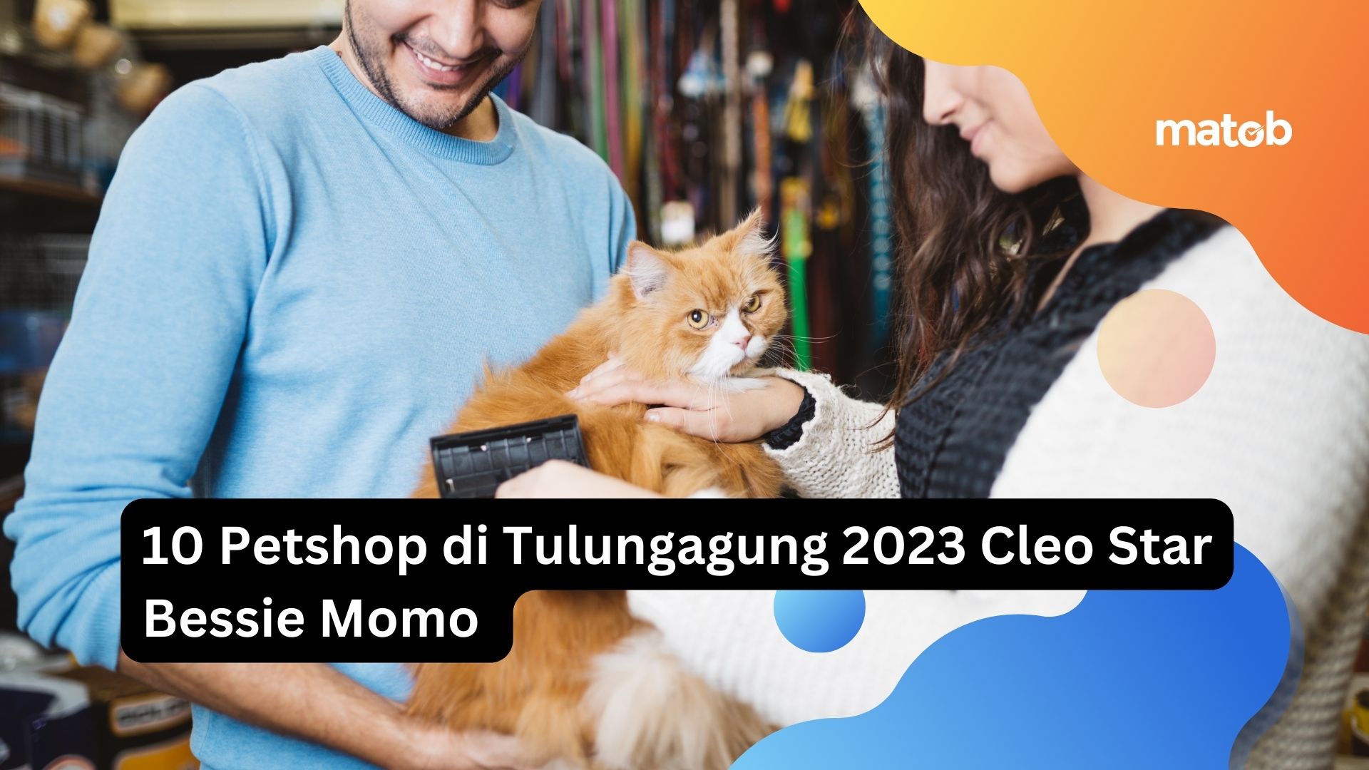 10 Petshop di Tulungagung 2023 Cleo Star Bessie Momo