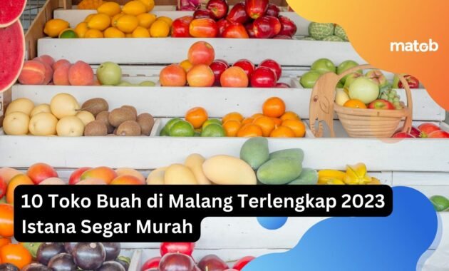 10 Toko Buah di Malang Terlengkap 2023 Istana Segar Murah 13 10 Toko Buah di Malang Terlengkap 2023 Istana Segar Murah
