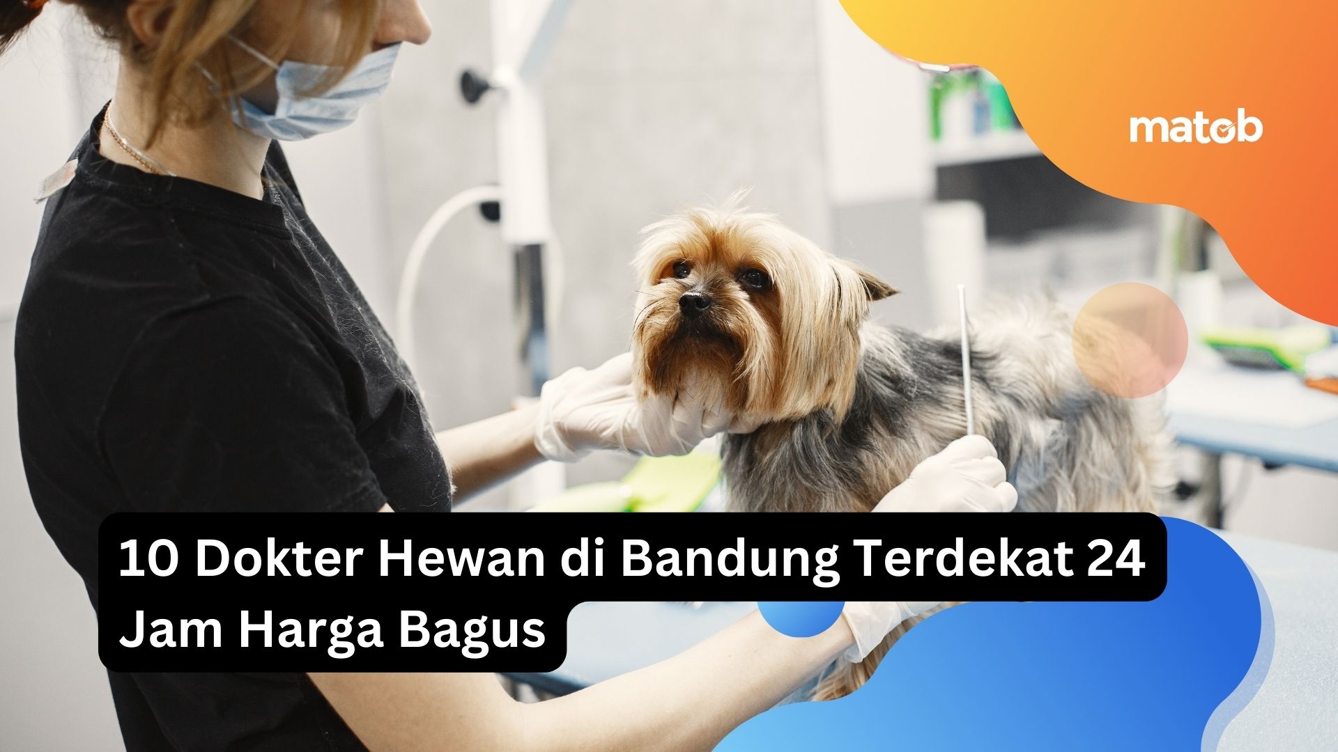 10 Dokter Hewan di Bandung Terdekat 24 Jam Harga Bagus