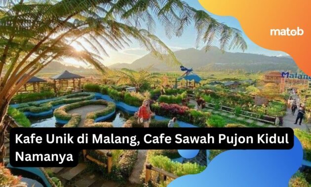 Kafe Unik di Malang, Cafe Sawah Pujon Kidul Namanya 11 Kafe Unik di Malang, Cafe Sawah Pujon Kidul Namanya