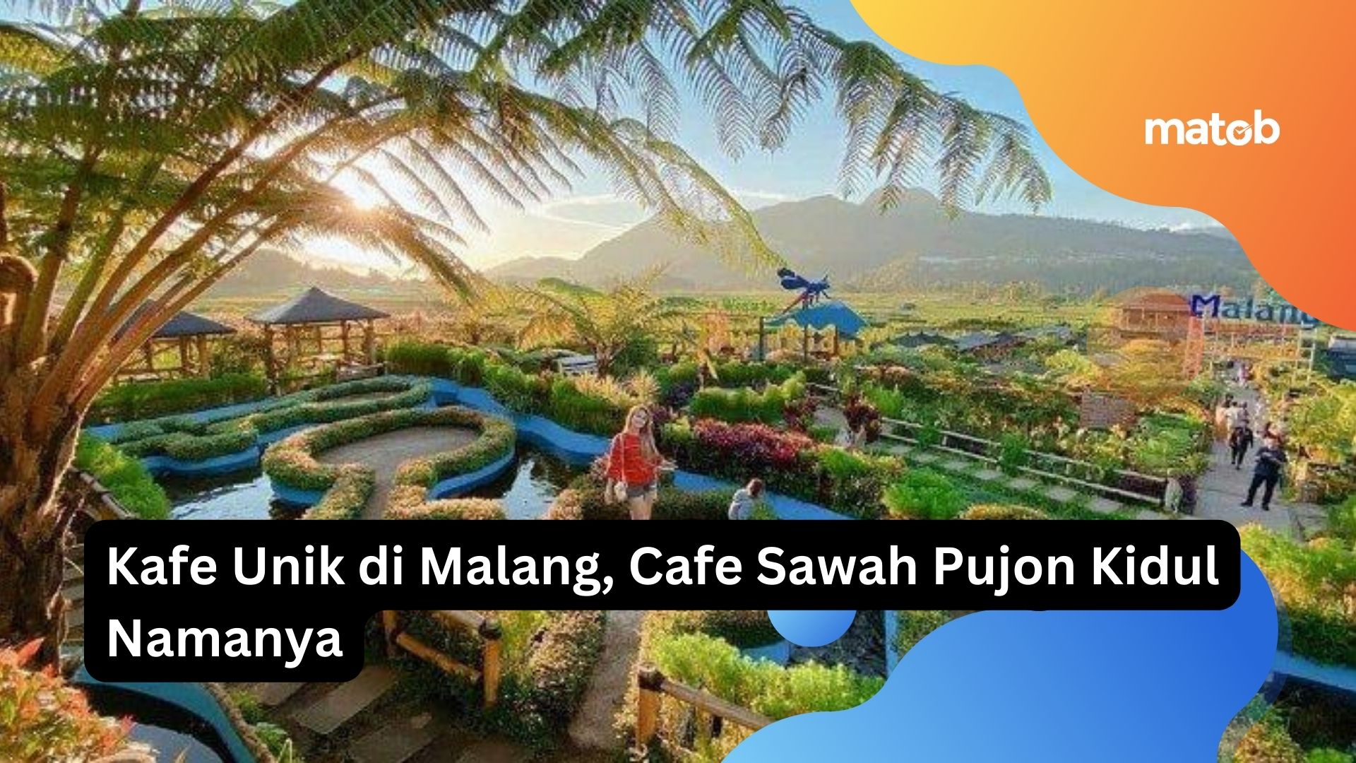 Kafe Unik di Malang, Cafe Sawah Pujon Kidul Namanya