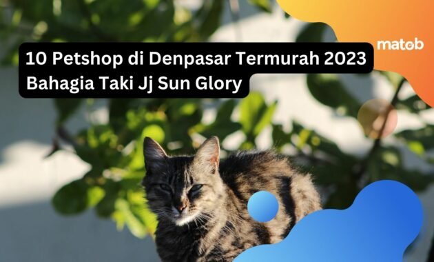 10 Petshop di Denpasar Termurah 2023 Bahagia Taki Jj Sun Glory 3 10 Petshop di Denpasar Termurah 2023 Bahagia Taki Jj Sun Glory