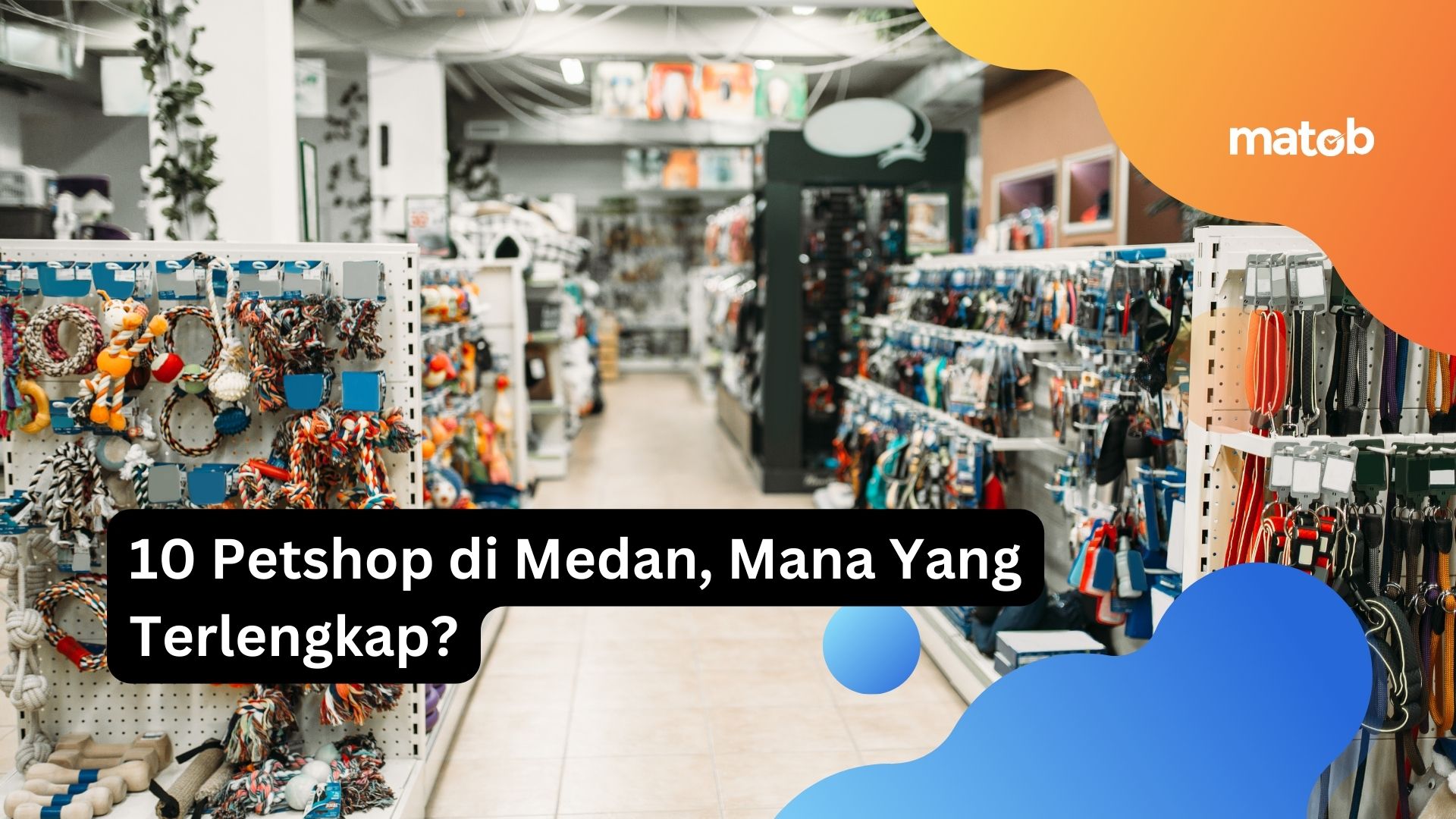 10 Petshop di Medan, Mana Yang Terlengkap?