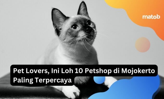 Pet Lovers, Ini Loh 10 Petshop di Mojokerto Paling Terpercaya 22 petshop di mojokerto