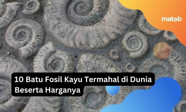 10 Batu Fosil Kayu Termahal di Dunia Beserta Harganya 8 Minimal and Clean Creative Portfolio Presentation 99 1 Matob Bisnis 10 Batu Fosil Kayu Termahal di Dunia Beserta Harganya