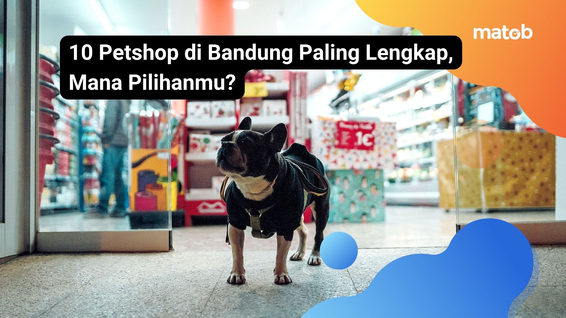 10 Petshop di Bandung Paling Lengkap, Mana Pilihanmu?