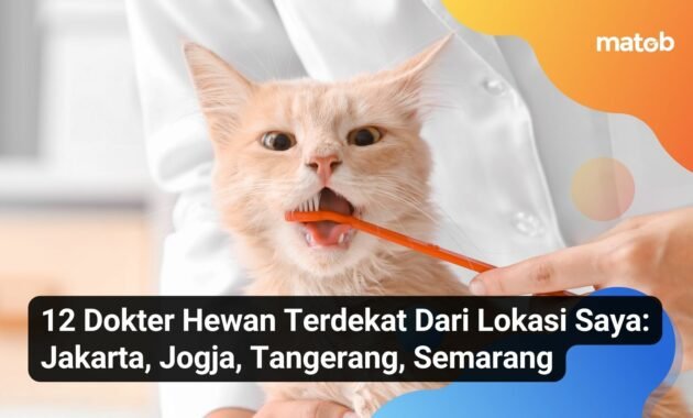 12 Dokter Hewan Terdekat Dari Lokasi Saya: Jakarta, Jogja, Tangerang, Semarang 6 12 Dokter Hewan Terdekat Dari Lokasi Saya: Jakarta, Jogja, Tangerang, Semarang