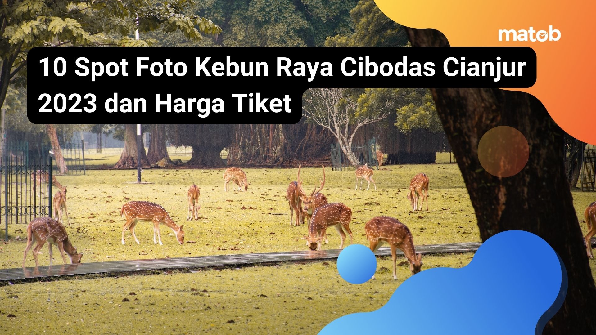 10 Spot Foto Kebun Raya Cibodas Cianjur 2023 dan Harga Tiket