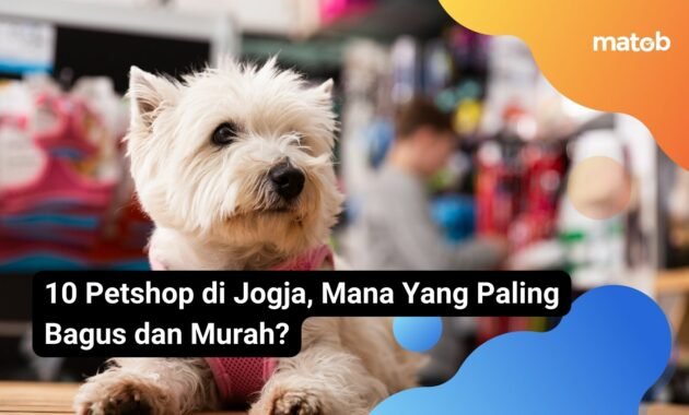 10 Petshop di Jogja, Mana Yang Paling Bagus dan Murah?
