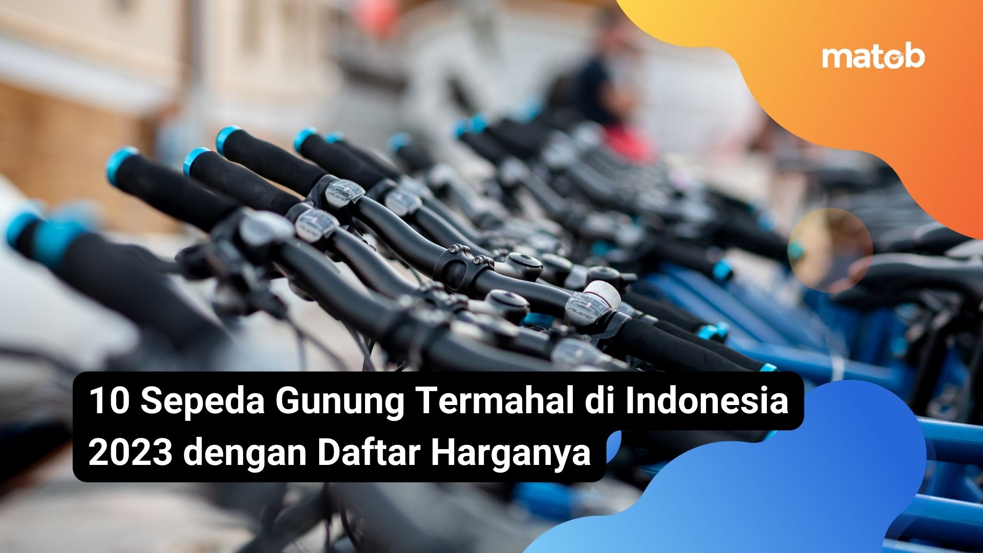 10 Sepeda Gunung Termahal di Indonesia 2023 dengan Daftar Harganya