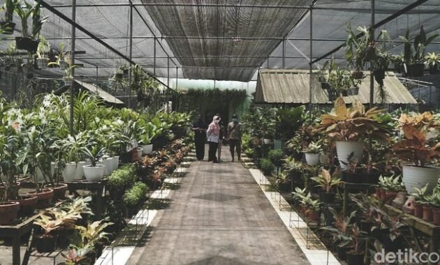 Taman Anggrek Ragunan Jakarta Selatan: Harga Tiket Masuk, Rute 13 Taman Anggrek Ragunan Jakarta Selatan: Harga Tiket Masuk, Rute