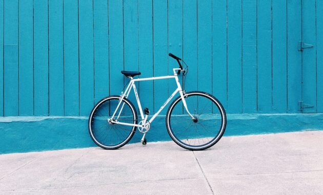 10 Foto Sepeda Onthel Kuno Termahal 2023 Harga Antik