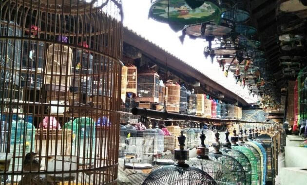 Pasar Burung Pramuka Jakarta Timur, Alamat Lokasi Harga Tutup Jam Berapa