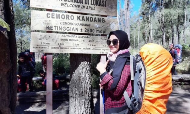 10 Gambar Cemoro Kandang, Jalur Wisata Tawangmangu Karanganyar Kabupaten Jawa Tengah