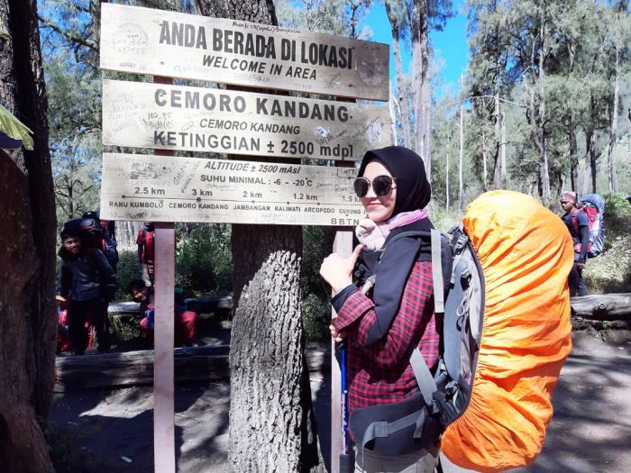 10 Gambar Cemoro Kandang, Jalur Wisata Tawangmangu Karanganyar Kabupaten Jawa Tengah