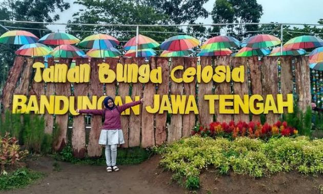 10 Gambar Taman Wisata di Semarang 2023 Bunga Celosia