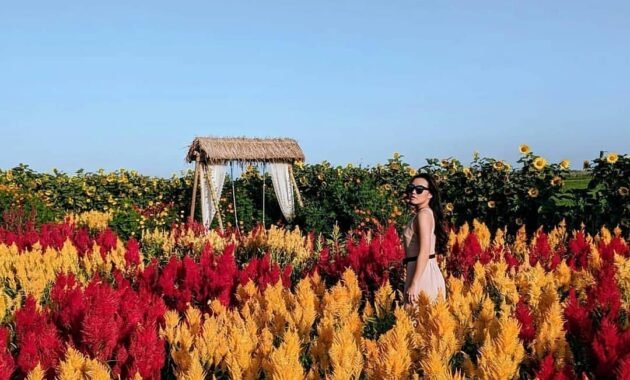 10 Gambar Resoinangun Garden Bantul Jogja, Harga Tiket Masuk Taman Bunga Daerah Istimewa Yogyakarta