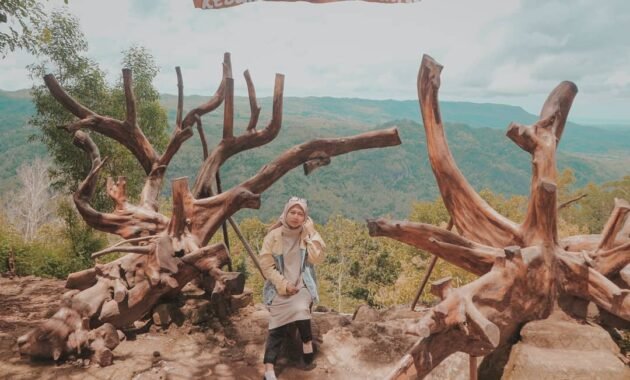 10 Gambar Kebun Buah Mangunan Jogja, Harga Tiket Masuk Taman Rute Jalan Menuju Lokasi Imogiri Bantul