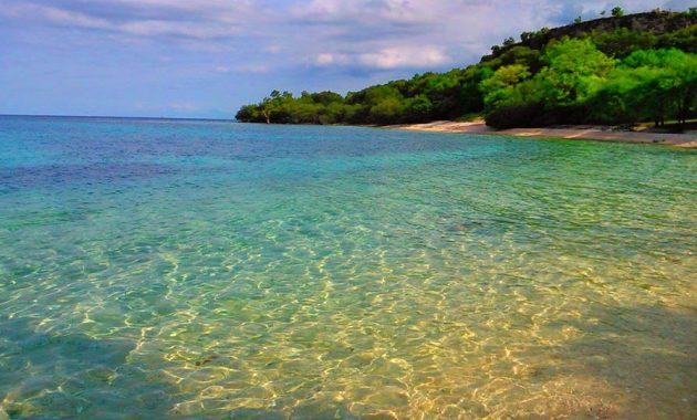 Pantai di situbondo jawa timur wisata bama indah terindah banongan daftar pathek daerah besuki arjasa alami yang ada yg adalah bilik balanan bentar pasir putih terbaik terbagus baluran blitok duta firdaus gelung gambar hotel ikan paling jepara jangkar jil kalbut kahona keperan kota lempuyang letak merak mangaran merah macam nama panarukan pandean pecaron pasput tempat pemandangan regency east java samir sijile sekitar tampora tangsi tamporah wilayah bagus