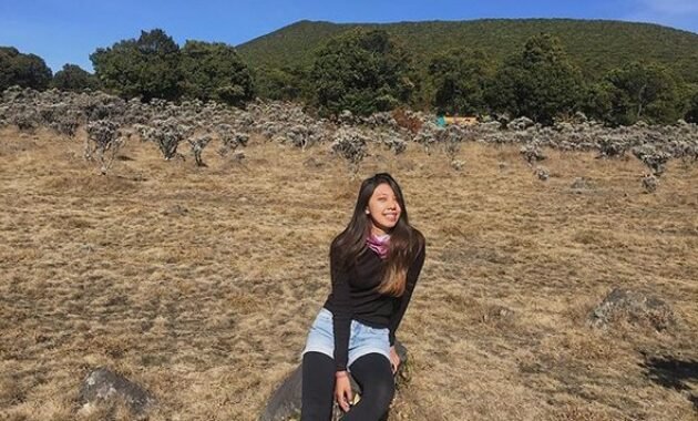 10 Gambar Alun Alun Surya Kencana Cianjur, Lokasi Alamat, Misteri Asal Usul Cantiknya Bunga Edelwies