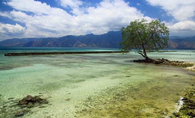 10 Gambar Pantai di NTT Nusa Tenggara Timur 2023 Terindah