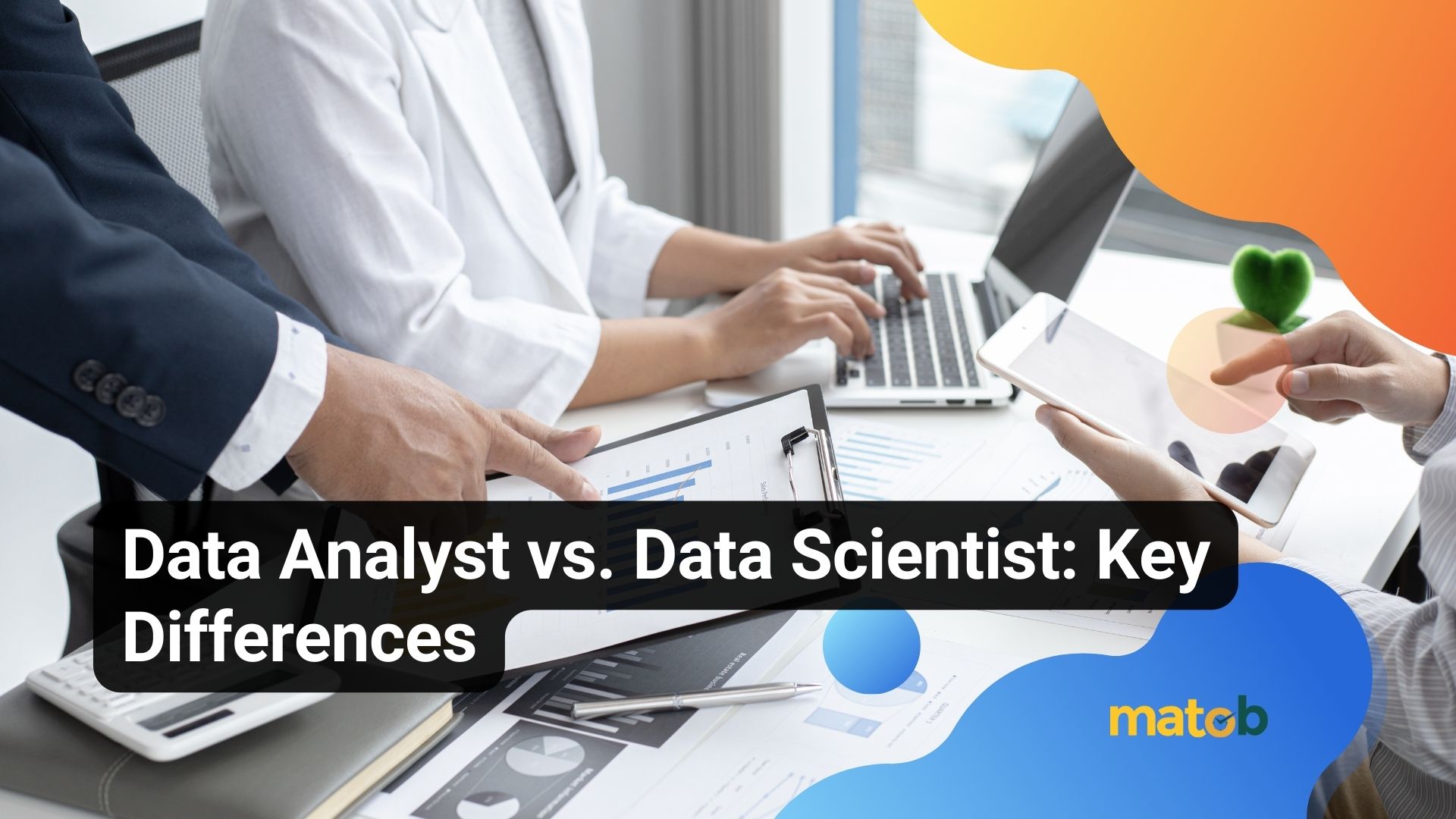 Data Analyst vs. Data Scientist: Key Differences