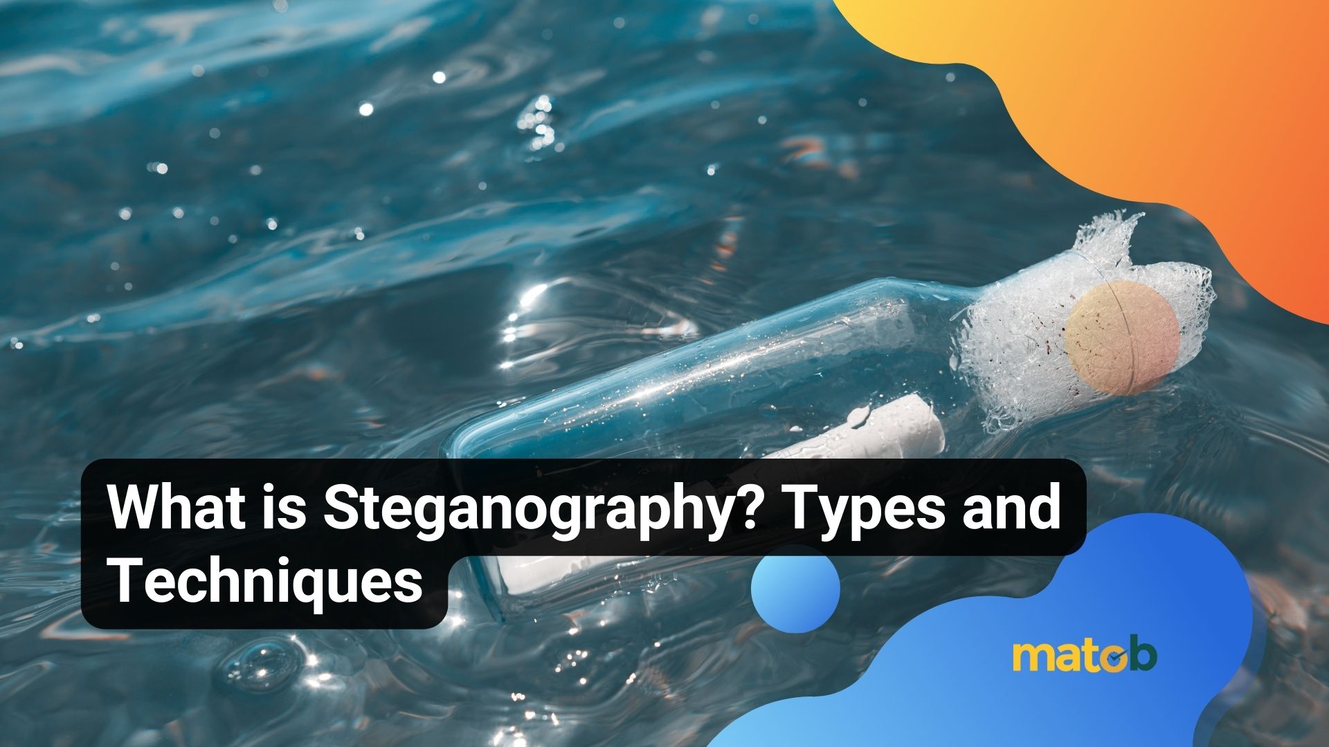 What is Steganography? Types and Techniques