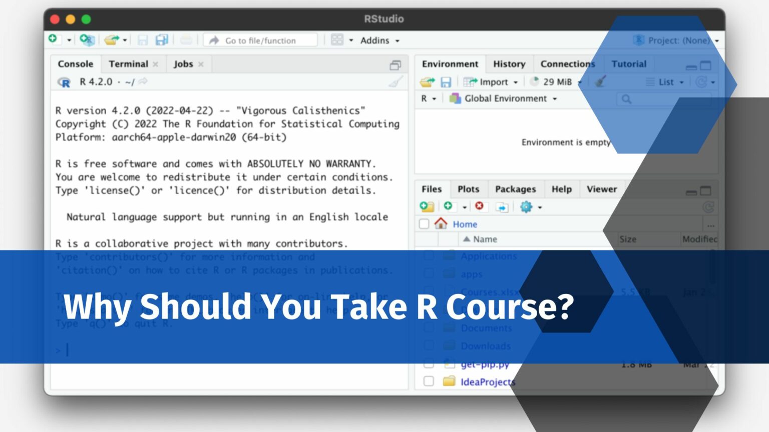 Why Should You Take Best R Course?