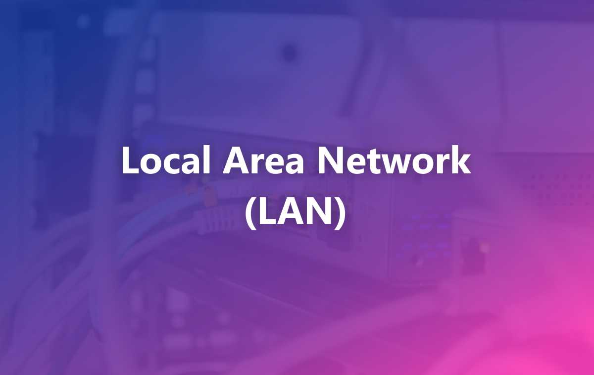 What is a LAN Network? Definition, Topology, Advantages, and Disadvantages