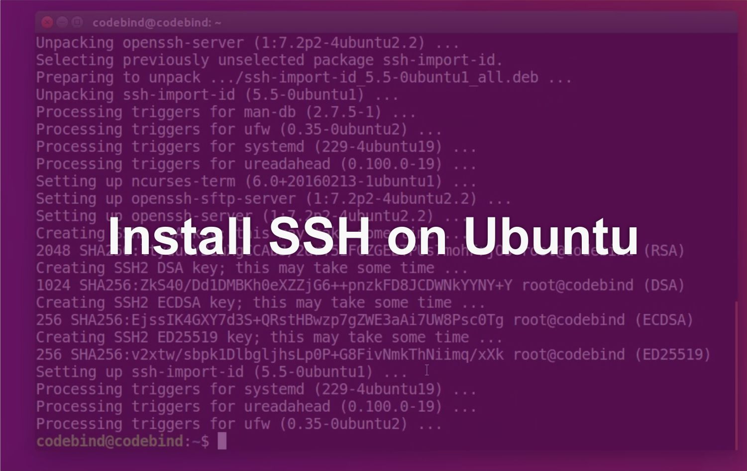 How To Install and Enable SSH on Ubuntu 18.04