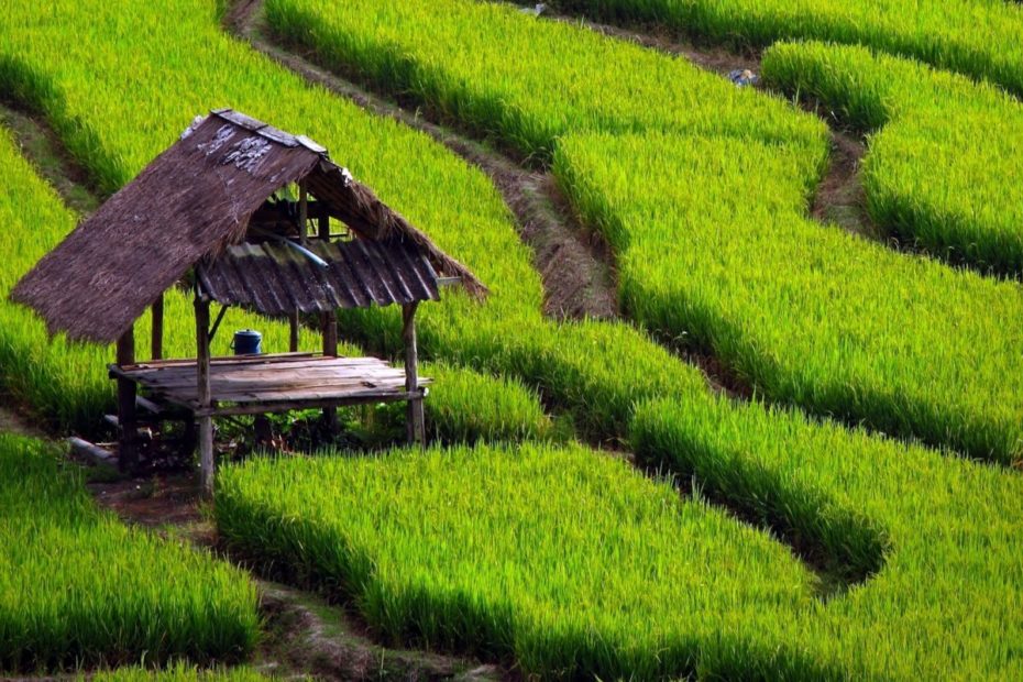 Startup Pertanian Membantu Petani Dalam Proses Pendistribusian Produk Hasil Pertanian Matob Note