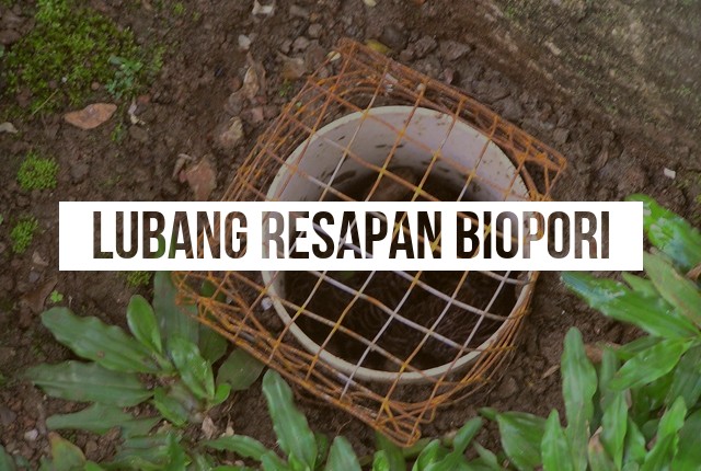 pengertian lubang biopori