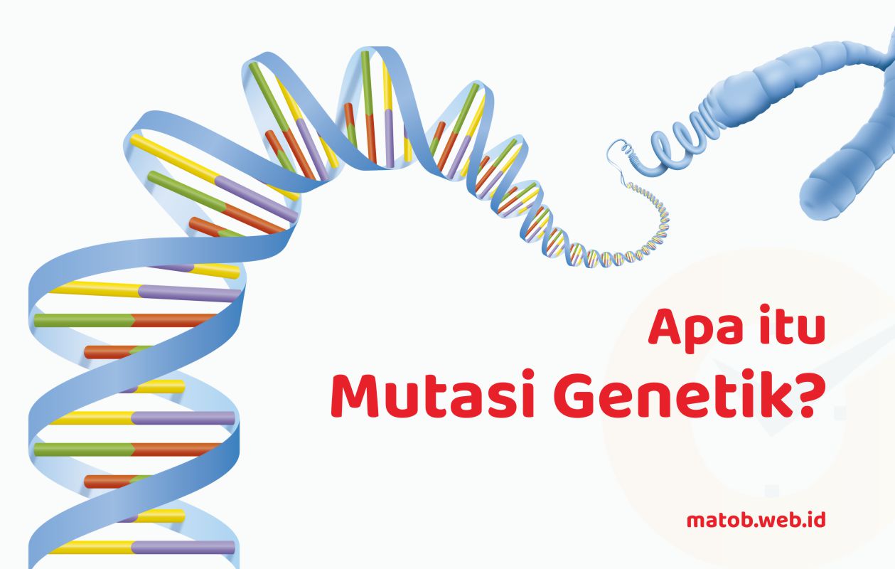mutasi genetik