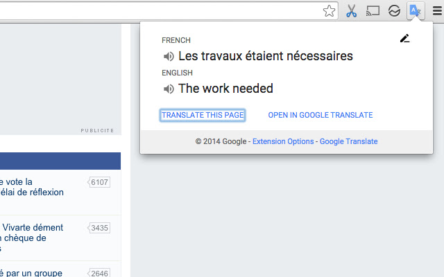 Google Website Translation