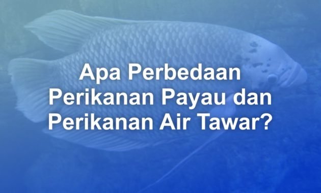 Apa Perbedaan Perikanan Payau dan Perikanan Air Tawar? 9 Perbedaan Perikanan Payau dan Perikanan Air Tawar