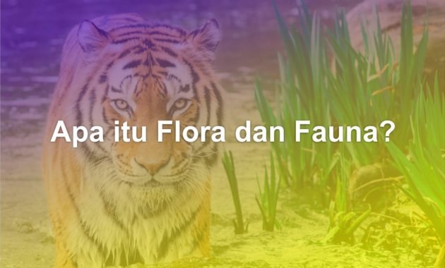 Apa itu Flora dan Fauna? 36 Apa itu flora dan fauna adalah