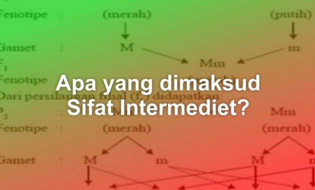 Apa yang dimaksud dengan sifat intermediet? 1 Apa yang dimaksud dengan sifat intermediet