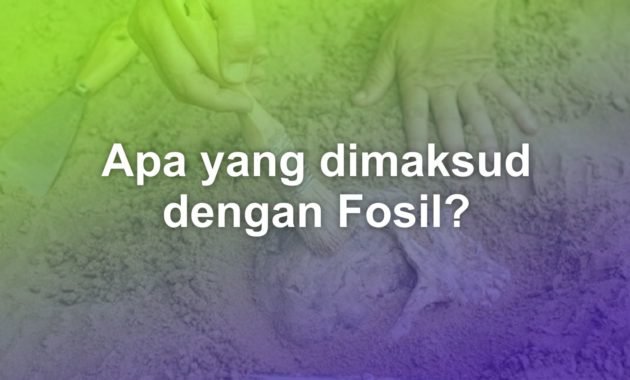 Apa yang dimaksud dengan fosil? 1 Apa yang dimaksud dengan fosil?