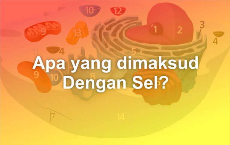 Apa Yang Dimaksud Dengan Sel? - Matob