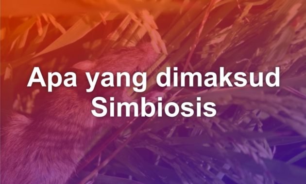 Apa yang dimaksud dengan simbiosis? 40 apa yang dimaksud dengan simbiosis