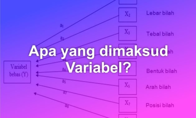 Apa yang dimaksud dengan Variabel? 19 apa yang dimaksud dengan variabel